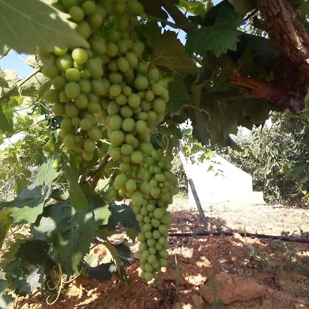 Casa Rural Bodega De Los Lobera Casa rural Munébrega